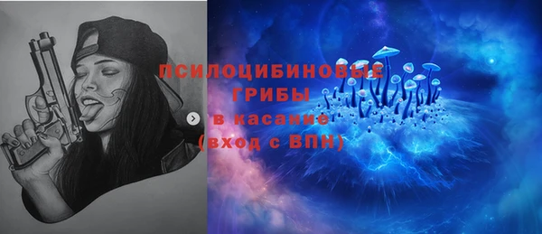 PSILOCYBIN Белокуриха