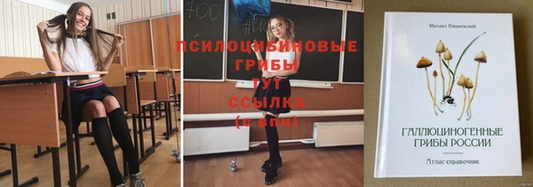 твердый Беломорск