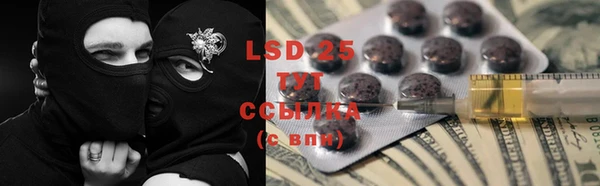 ГАЛЛЮЦИНОГЕННЫЕ ГРИБЫ Баксан