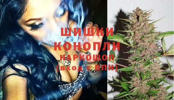 ГАЛЛЮЦИНОГЕННЫЕ ГРИБЫ Баксан