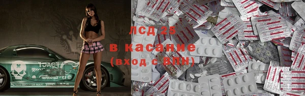 ГАЛЛЮЦИНОГЕННЫЕ ГРИБЫ Баксан