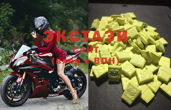 PSILOCYBIN Белокуриха