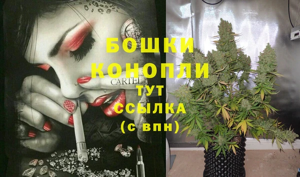 PSILOCYBIN Белокуриха