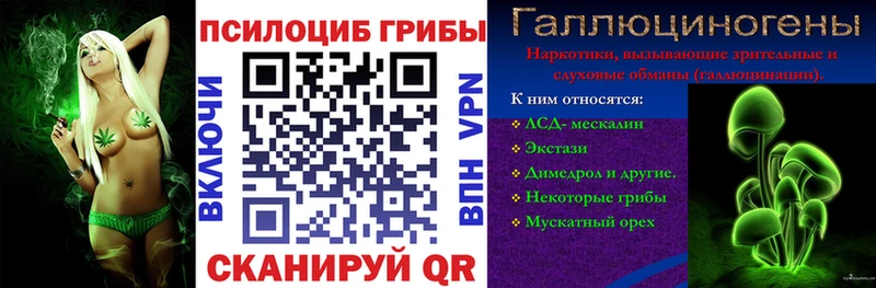 Галлюциногенные грибы Magic Shrooms  Болхов 